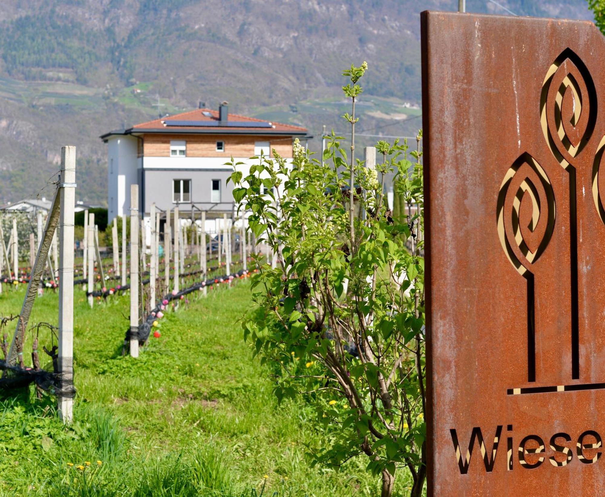 Haus Wiesenstein Lana Εξωτερικό φωτογραφία