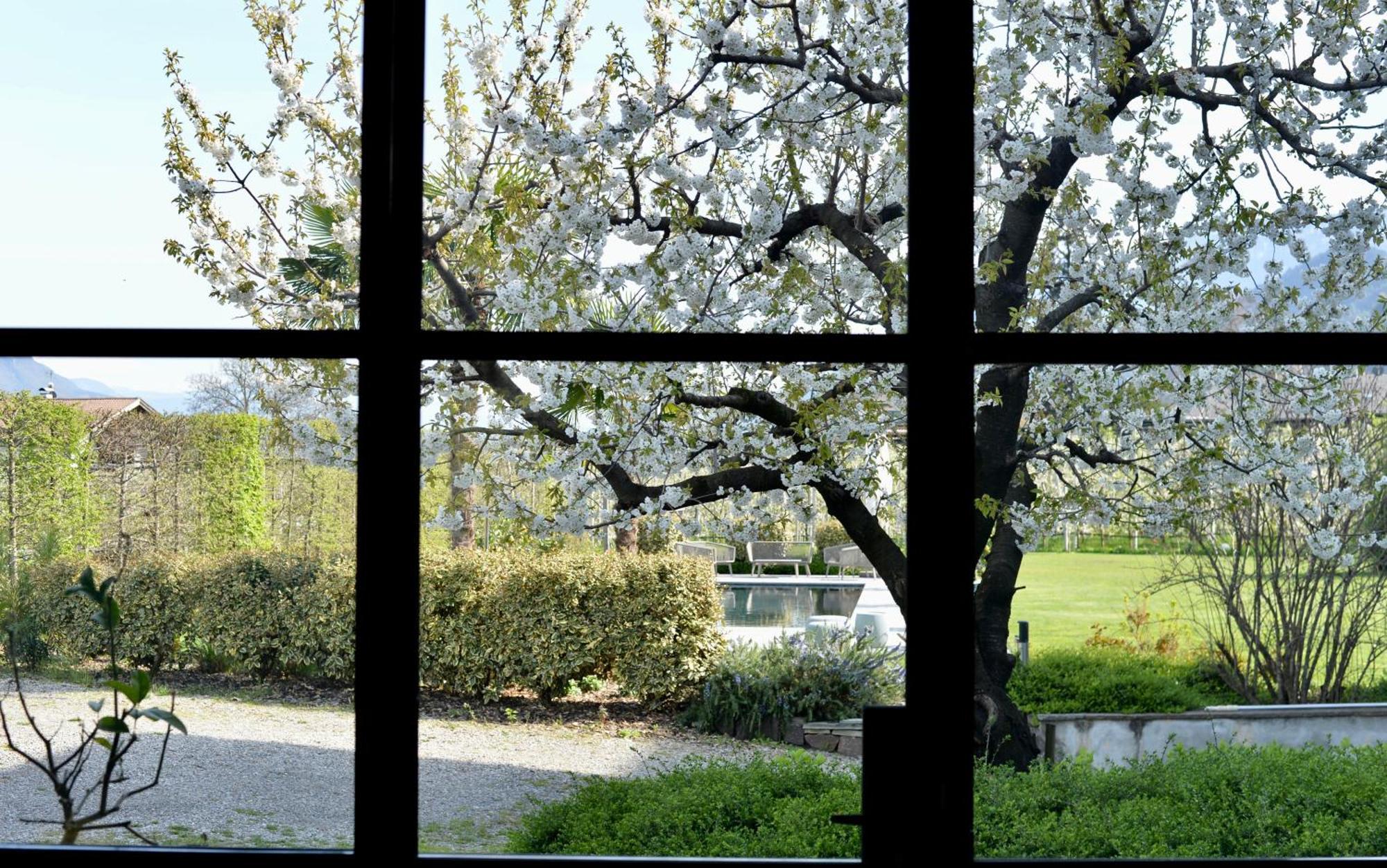 Haus Wiesenstein Lana Εξωτερικό φωτογραφία