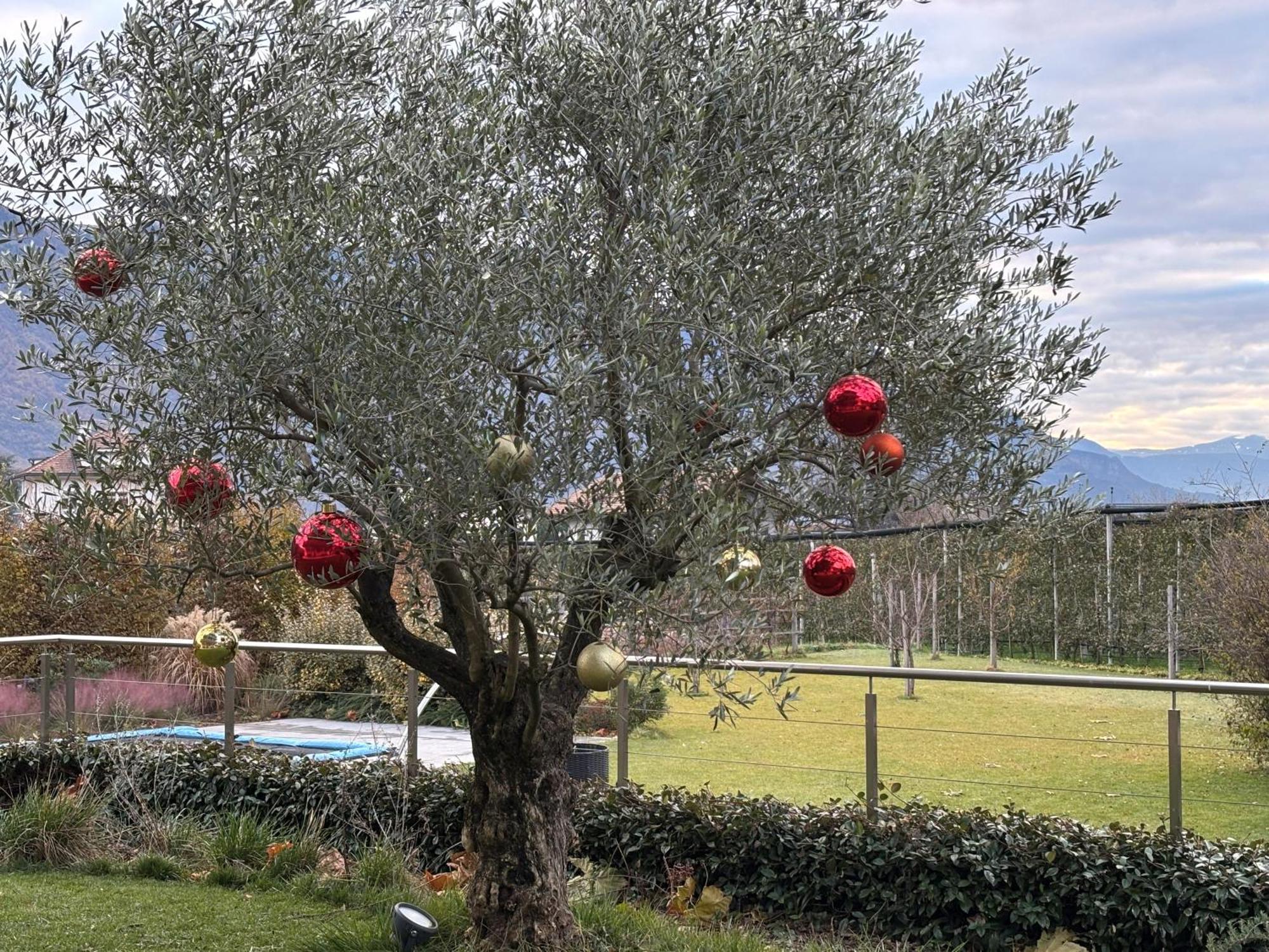 Haus Wiesenstein Lana Εξωτερικό φωτογραφία